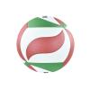 V4M3500 Voleybol Topu