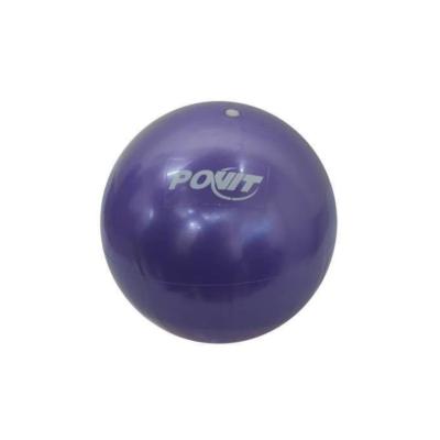25cm Mini Pilates Topu Mor Nts2021lks0011 Mor Renk