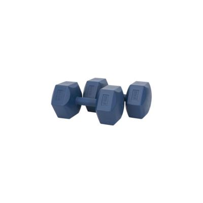 Köşeli 6 Kg Plastik Dambıl