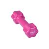 1 Kg X 1 Adet Deluxe Pvc Kaplama Turkuaz Demir Dambıl