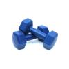 Tek Ebat 5 Kg Dambıl Seti Ağırlık Seti 5 Kg 2 Adet Pilastik Dambıl Plastik Mavi 2 x 5 Kg